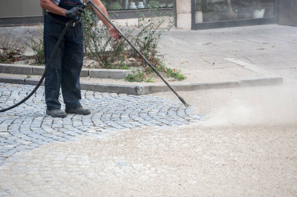 Best Animal Enclosure Cleaning  in Apple Mountain Lake, VA